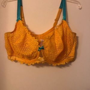 Lane Bryant Cacique Bra